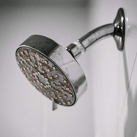 Hard water scale on a shower head