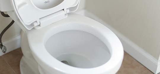 Open toilet with the seat up